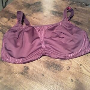 NWOT Somasport 38DD Maroon & Pink Unpadded underwire Gorgeous Sports Bra